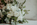 photo mariage 